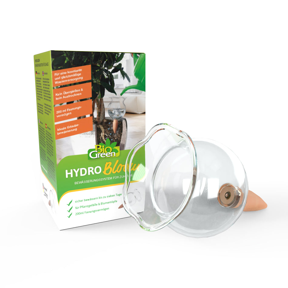 Self Watering Globe - "Hydro Bloom"