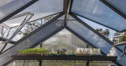 Greenhouse ventilation – professional tips and tricks
