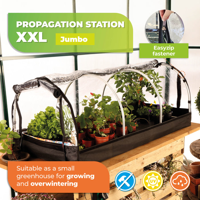 Propagation station JUMBO with heat mat