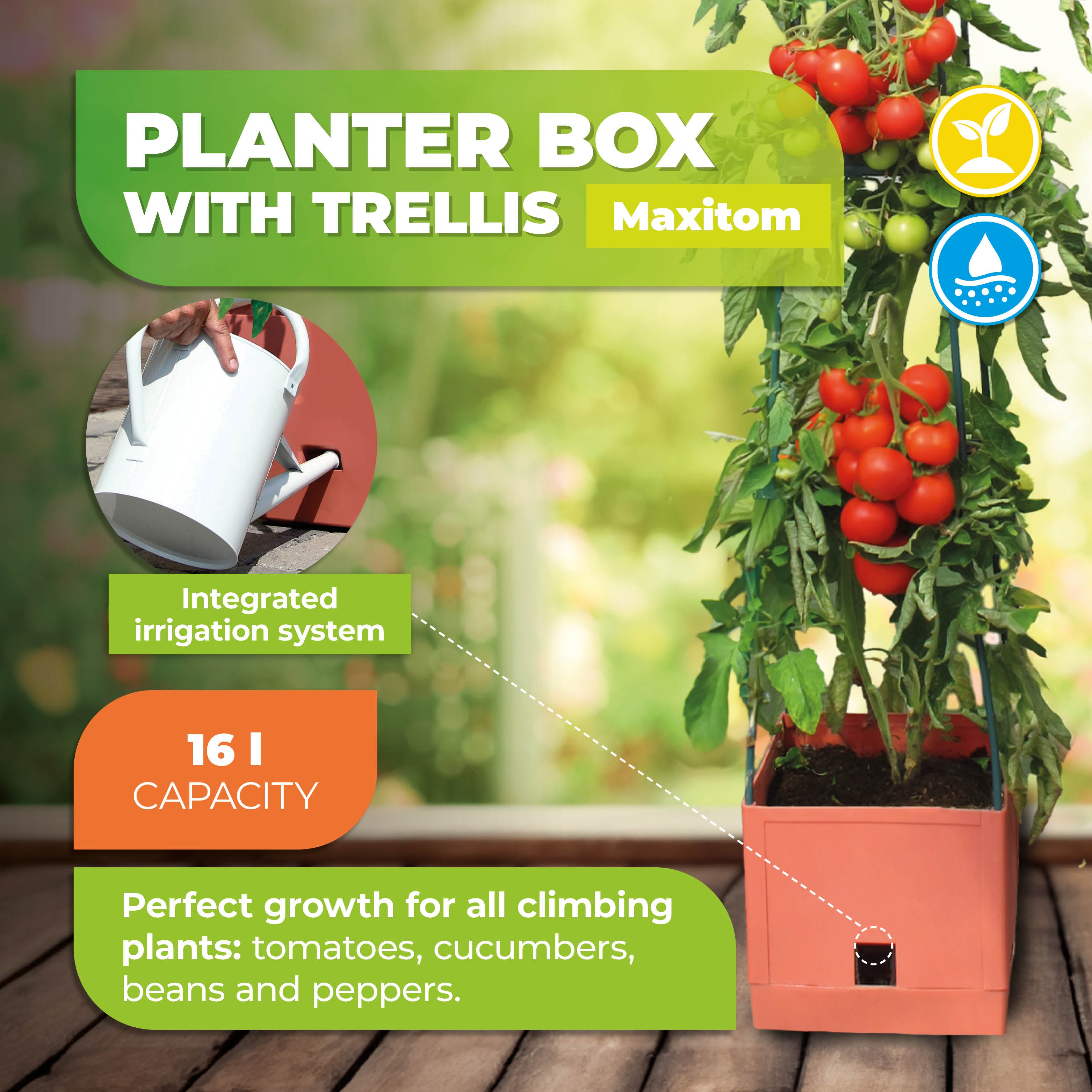 tomato plant pots uk Tomato Self-watering Planter - "Maxitom" (Terracotta)