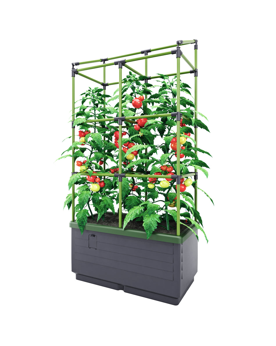 Tomato Planter With Treillis - "CityJungle"